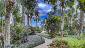 Un sendero serpentea por un jardín exuberante con palmeras y diversos arbustos.