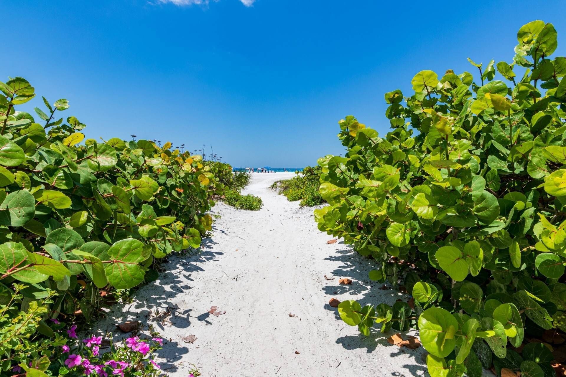 Condo (Siesta Bayside 2nd Floor Townhome) | Exterior