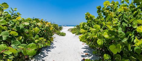 Condo (Siesta Bayside 2nd Floor Townhome) | Exterior