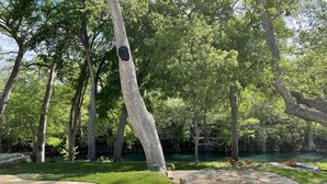 A stone pathway leading to a seating area with a view of a lake surrounded by trees.