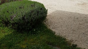 Sorapolkua, joka johtaa puutarhaan rakennettuun huvimajaan. Puutarhassa on siististi leikattuja pensaita ja suuri puu.