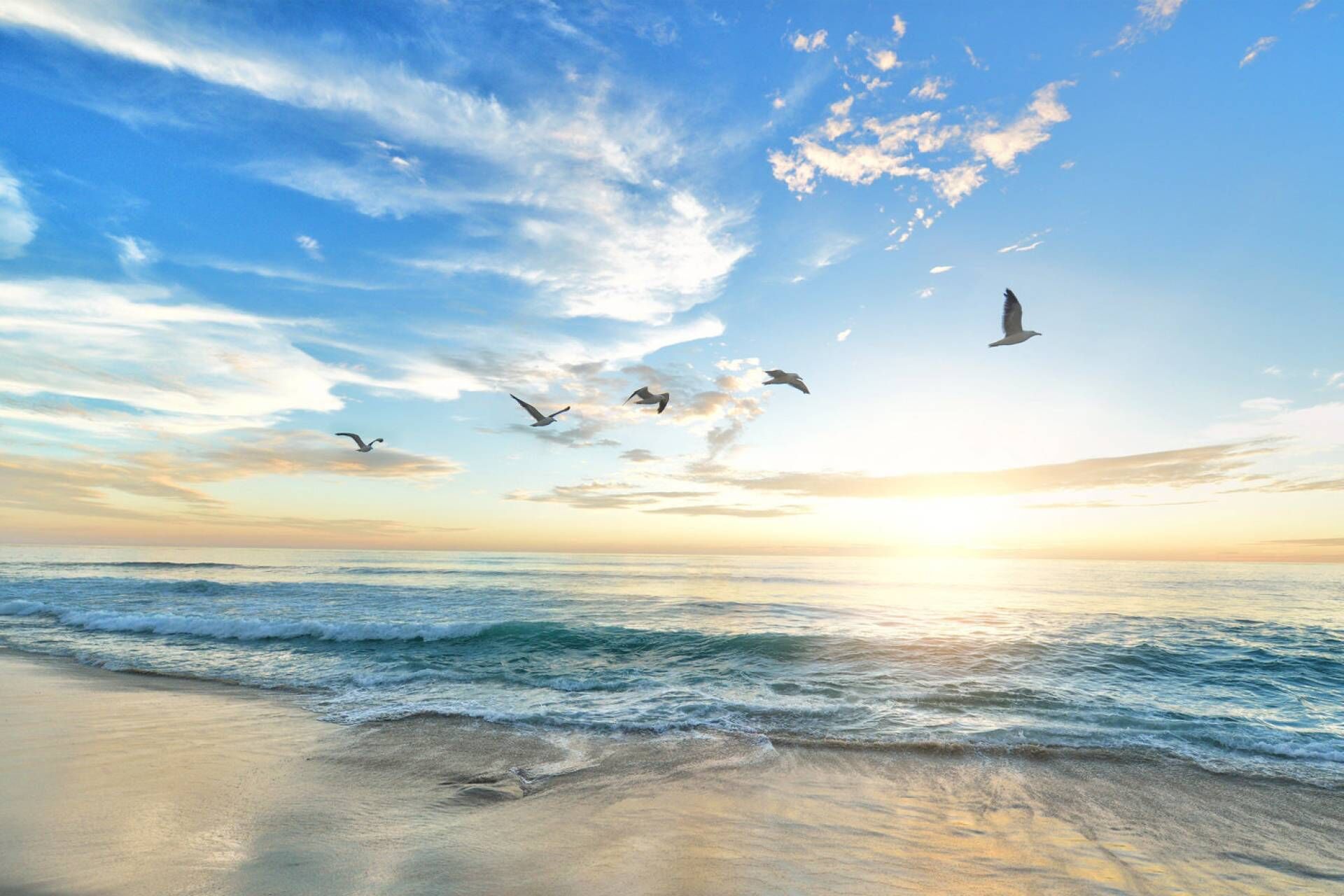 Una playa con olas y pájaros volando en el cielo.