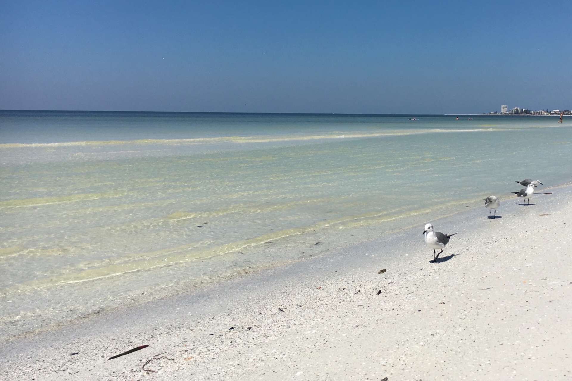 Playa
