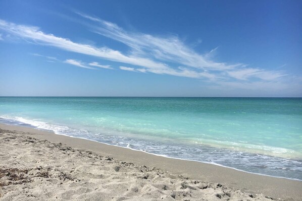 ハウス (Siesta Key Home) | ビーチ