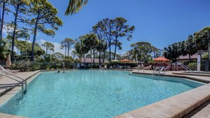 A clear swimming pool with a tiled edge, surrounded by palm trees and lounge chairs.