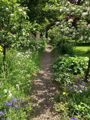 Garden - Ingram House Bed & Breakfast (Alnwick)