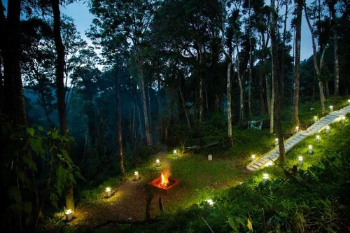 Room-the Nest Bettathur Coorg - ct No 00