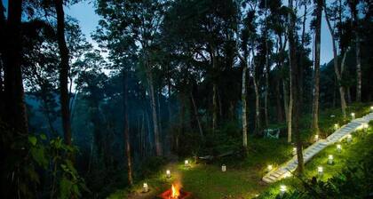 Room-the Nest Bettathur Coorg - ct No 00