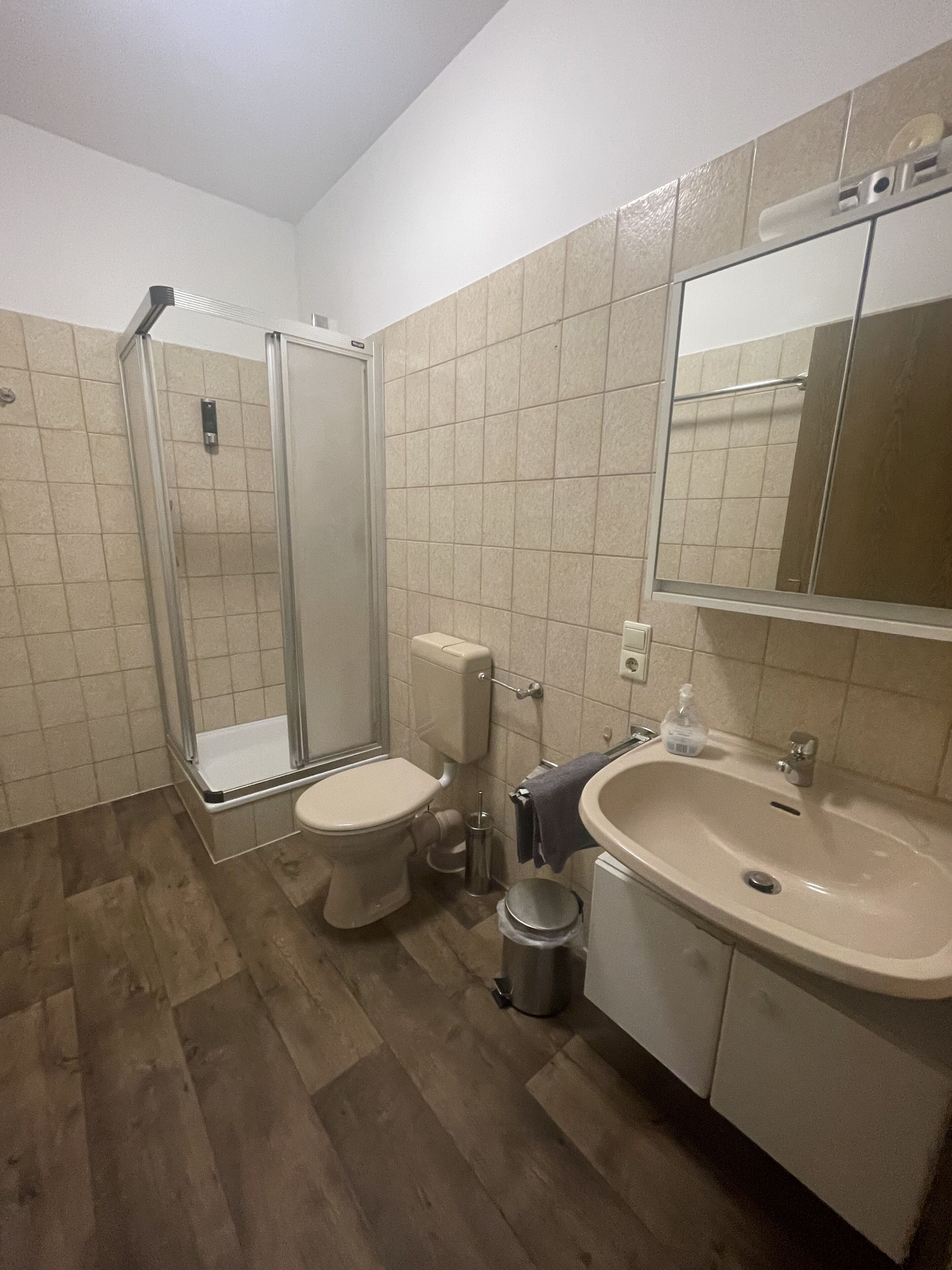Une salle de bain avec des toilettes, un lavabo et une douche.