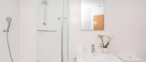 A modern bathroom with a glass-enclosed shower, a white sink with a mirror above it, and a small potted orchid on the counter.