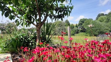 Family Cottage, Ensuite, Garden View | Garden