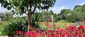 Le Relais du Cheval Blanc