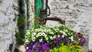 A rustic outdoor area with a weathered wall, a green door, and a metal gate. - Le Relais du Cheval Blanc (Tenneville)