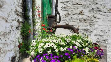 Cottage dành cho gia đình, có phòng tắm riêng, quang cảnh vườn | Vườn