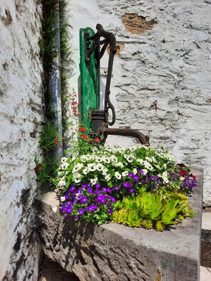 Cottage Familial, salle de bains attenante, vue jardin | Jardin
