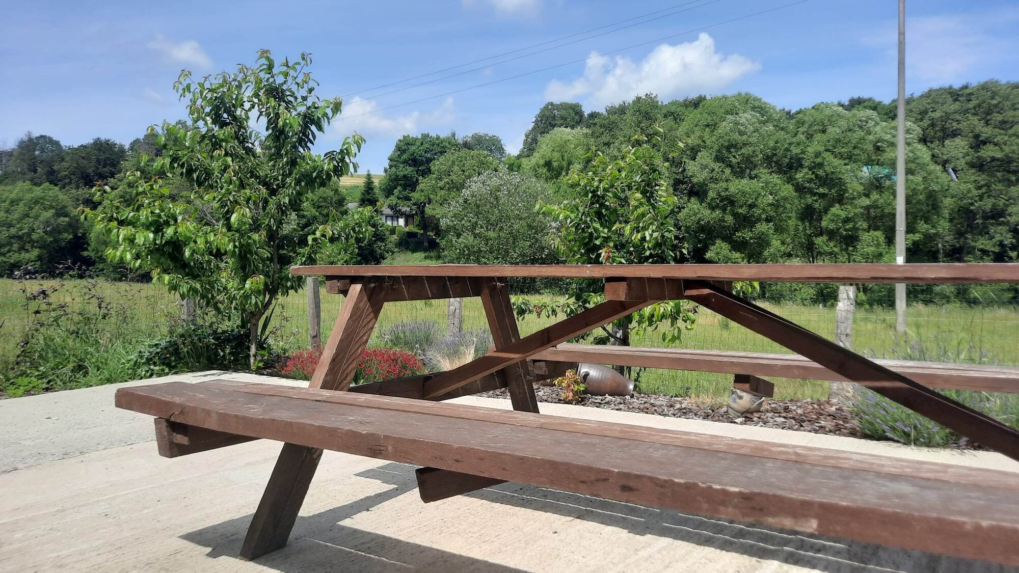 A wooden picnic table with a metal frame, set on a concrete surface, surrounded by greenery and trees.