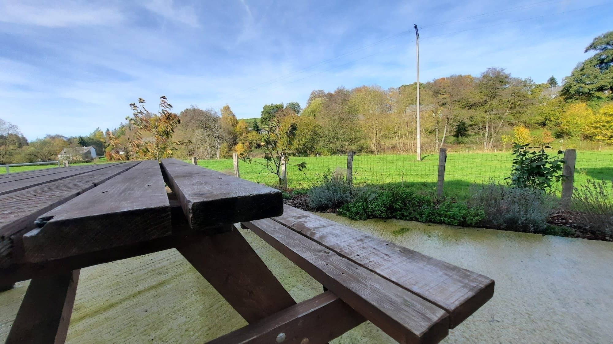 Ein Holztisch für ein Picknick in einem Park mit einer grünen Wiese und Bäumen im Hintergrund.