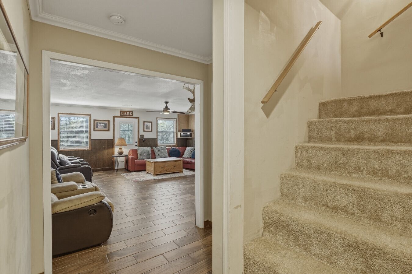 TV connectée, jeux vidéo, lecteur de DVD