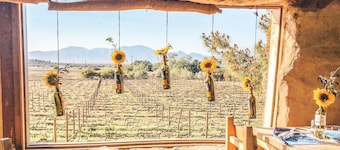 Stay in the Heart of Valle de Guadalupe in a Luxury Glamping Experience