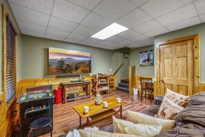 Smart TV, fireplace, video games, DVD player