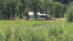 Una cabaña rústica rodeada de un bosque denso, con un afloramiento rocoso al fondo.