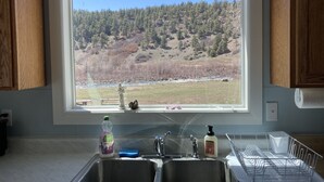Cocina con vista a una ladera boscosa, un lavaplatos de acero inoxidable y un escurreplatos.