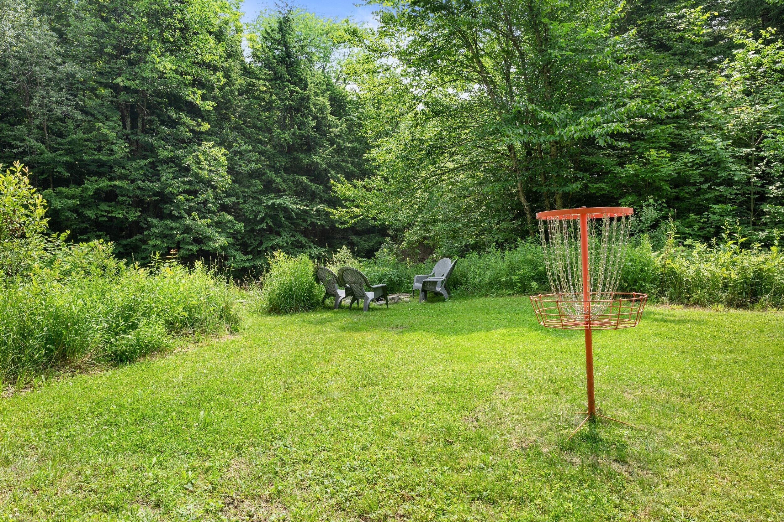Un parcours de disc golf avec un panier rouge, entouré d’une végétation luxuriante et d’arbres.