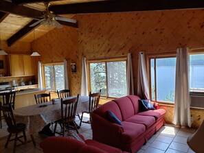 TV connectée, cheminée, lecteur de DVD, livres