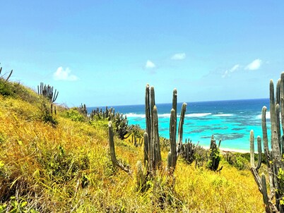 Mojito Hill - private hilltop pool oasis!
