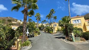 Calle bordeada de palmeras y edificios amarillos, que conduce a una zona montañosa.