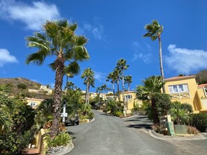 Property grounds - Mojito Hill - private hilltop pool oasis! (East End)