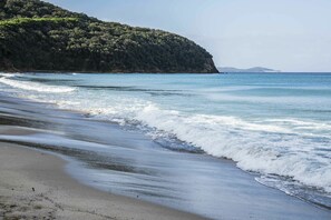 Ein Strand mit Wellen, einem sandigen Ufer und einem mit Vegetation bewachsenen Hügel.