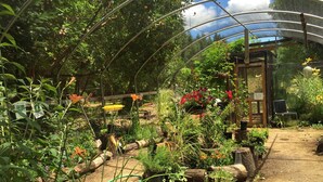 A greenhouse with various plants and flowers, wooden logs, and a bench. - Glamping #4, Nature Immersion, River access, Butterfly Pavilion (Cave Junction)