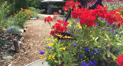 Glamping #4, Nature Immersion, River access, Butterfly Pavilion