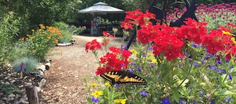 Glamping #4, Nature Immersion, River access, Butterfly Pavilion