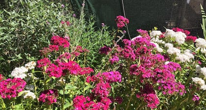 Glamping #4, Nature Immersion, River access, Butterfly Pavilion