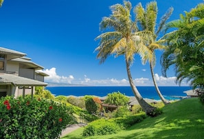 Property grounds - Ridge 1712- Ocean View w/Platinum Interiors! (Lahaina)