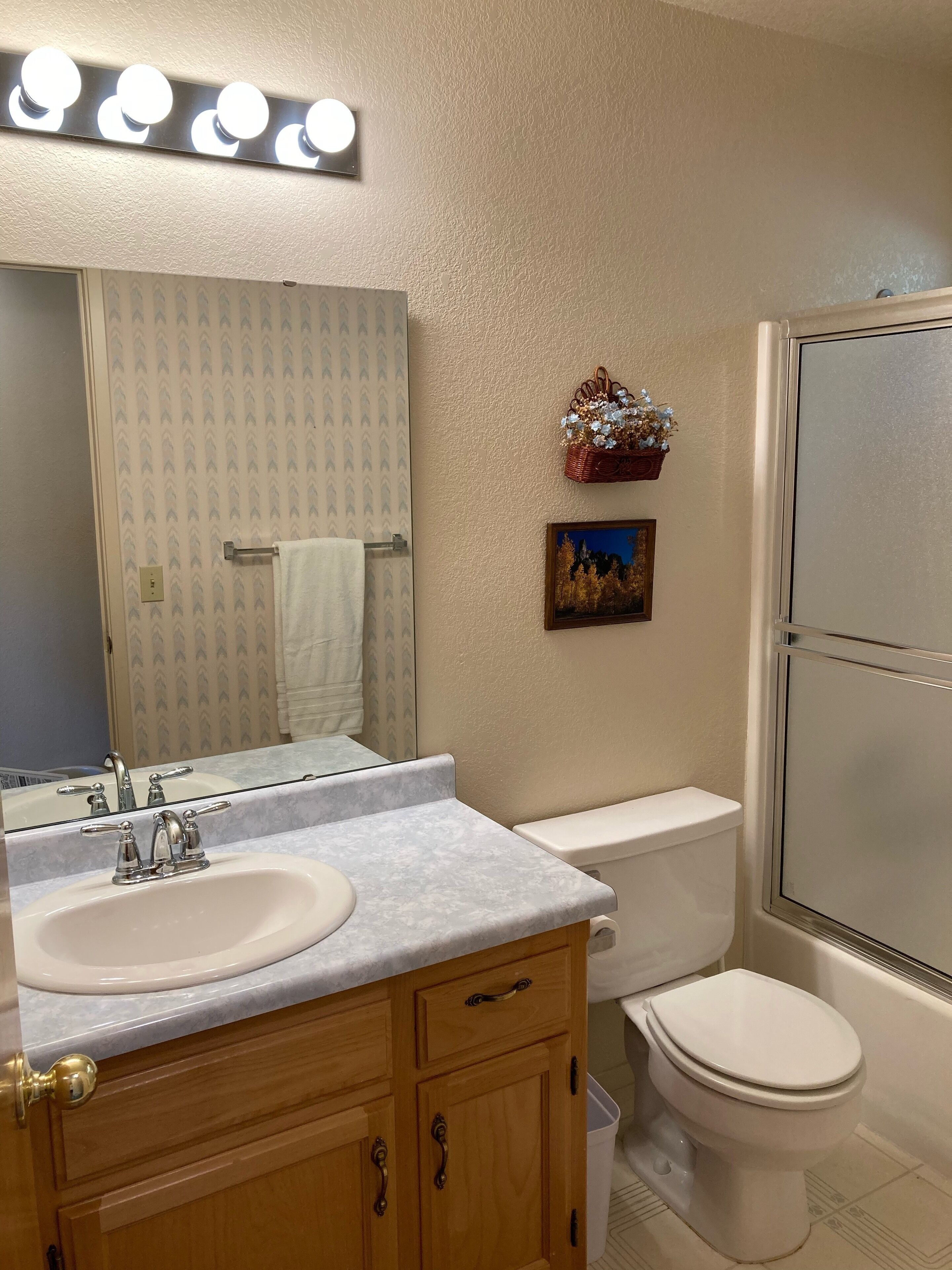 A bathroom with a vanity, sink, mirror, toilet, and a shower area.