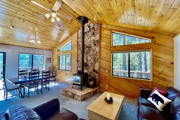 TV connectée, cheminée, lecteur de DVD, livres