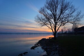 Uma árvore à beira de um lago calmo ao pôr do sol.