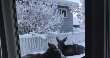 Irish hospitality at its best