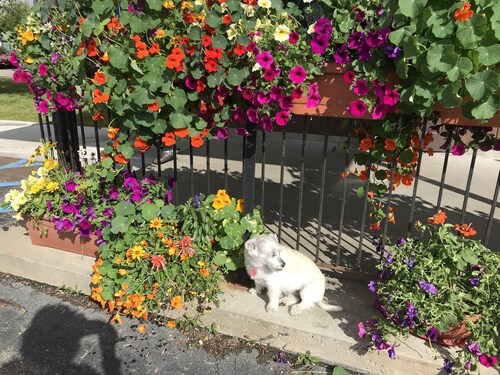 Irish hospitality at its best