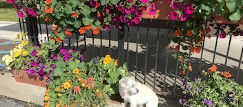 Irish hospitality at its best