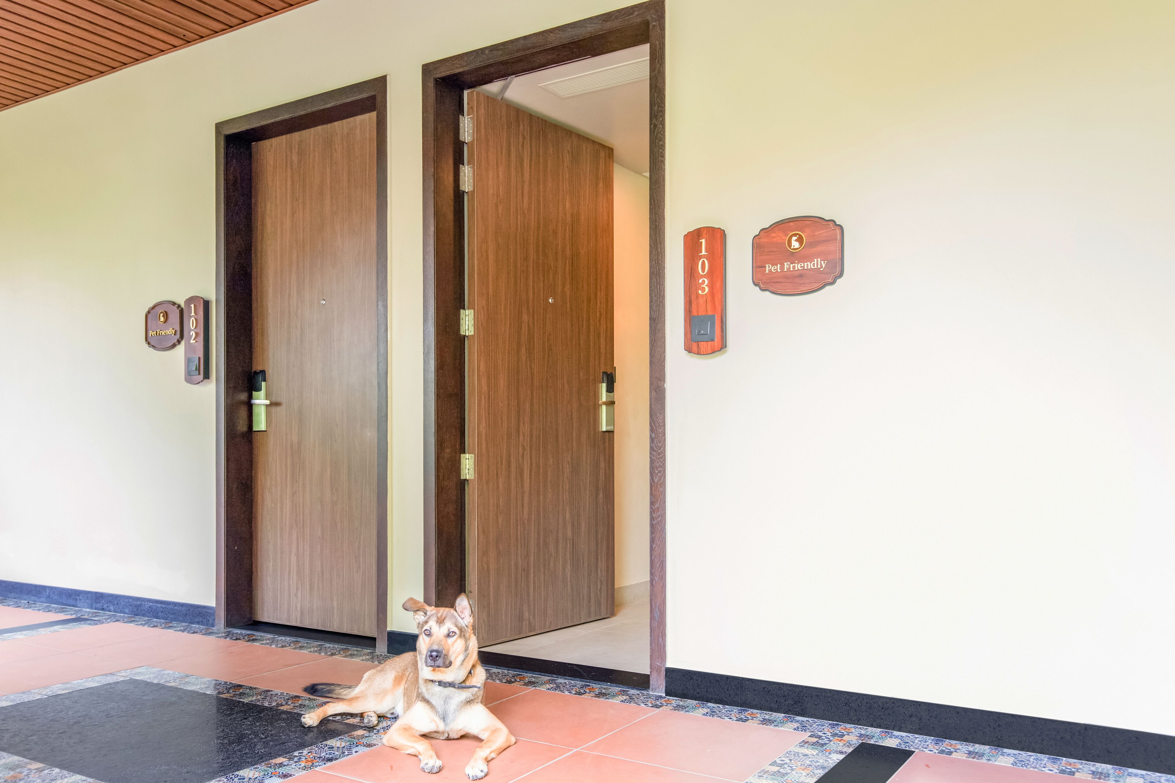 A dog sitting on a tiled floor near a wooden door with a pet-friendly sign.
