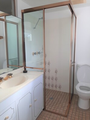 A bathroom with a glass-enclosed shower, a white sink, and a toilet.