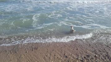 Spiaggia
