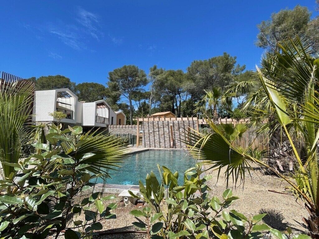 A pool area with a clear view of the pool, surrounded by tropical plants and a wooden fence.