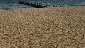 Une plage de sable avec une jetée en bois qui s’avance dans l’océan.