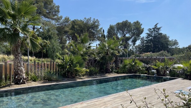 Une piscine rectangulaire à l’eau claire, entourée d’une terrasse en bois et agrémentée de diverses plantes tropicales.