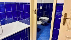 Combined shower/bathtub, hair dryer, bidet, towels